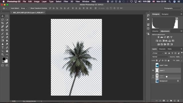 Tutorial adobe photoshop cc 2015.5 dicut tree. ไดคัท ต้นไม้ ง่ายๆ รวดเร็ว смотреть онлайн