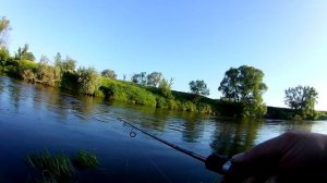 Как успешно ловить ГОЛАВЛЯ на запрессованном перекате. Голавль на спиннинг. Рыбалка с утреца.