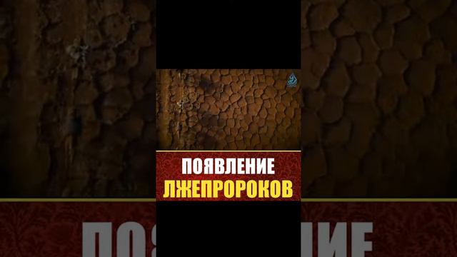 Признаки судного дня #7 смотреть онлайн