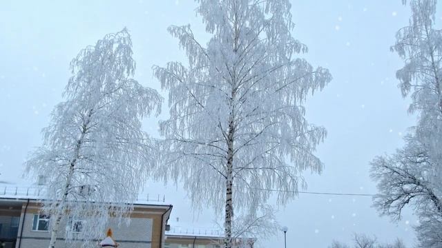 #Вурнары Утро 17 12 18 смотреть онлайн