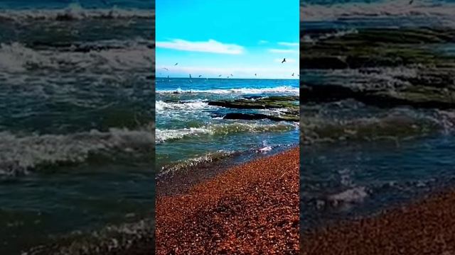 Навстречу солнцу / авторская песня / Кинжал & Co смотреть онлайн