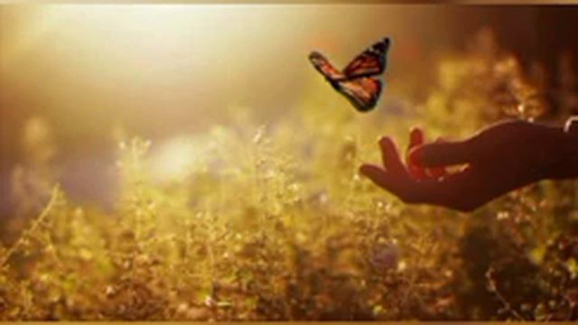 12 августа. Мелоди Битти смотреть онлайн