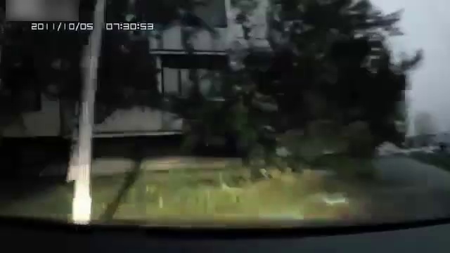 Ну ты и олень! смотреть онлайн