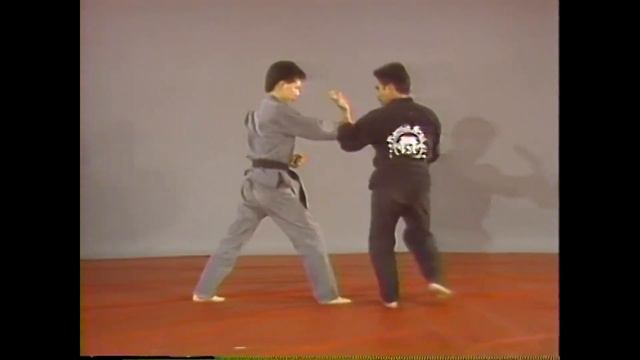 Мастерство Лима Лама - Техники среднего уровня Лима Лама с Тедом Табура. Ч 2 смотреть онлайн