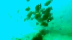 Базылхан Дюсупов во имя жизни!