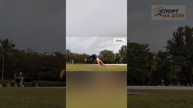 Фитнес коврик с инструкцией по всем видам упражнений, инструктор точно не нужен? смотреть онлайн