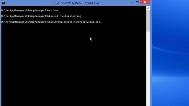 How to execute OracleDebug script смотреть онлайн