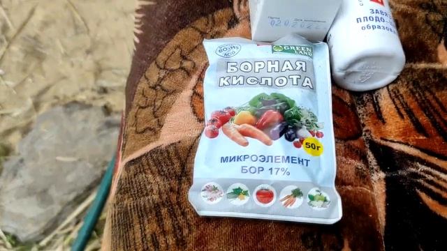 Как увеличить количество завязей на томатах?