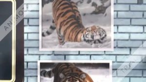 Сильнейшая Мантра Для Успешной Торговли / мантра,деньги,мантры,mantra