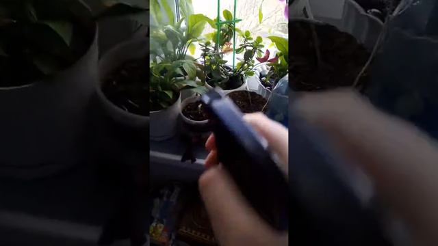 3 марта 2020 г. смотреть онлайн