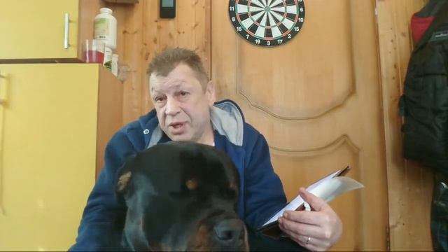 69 ОПАСНЫХ ПОРОД СОБАК.КТО БОЛЬШЕ?Размышление об списке собак опасных пород смотреть онлайн