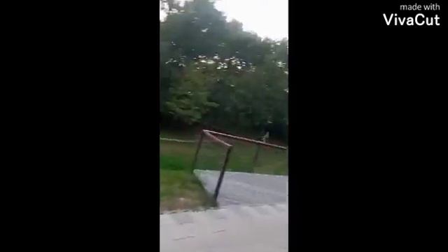 Лианозовский парк, культуры и отдыха смотреть онлайн