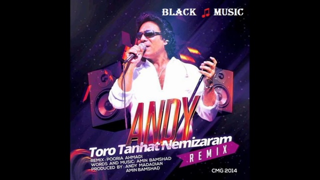 ANDY - Toro Tanha Nemeezaram [Remix] (New Music 2014) смотреть онлайн