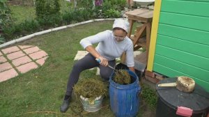 6 соток 29 июня 2023 года Хроника