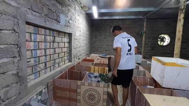 This is where millions of baby cobras are born - Vietnam's breeding cobra farm смотреть онлайн