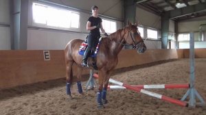 Техника прыжка на лошади