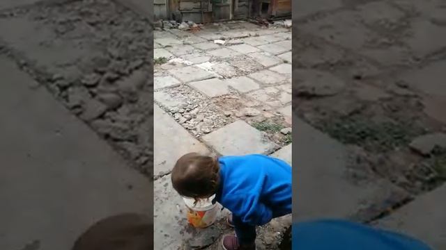 Тритон. ящерица смотреть онлайн