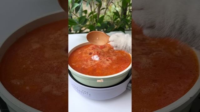 Chef Cat's Super Delicious Recipes Satisfy Your Imagination??| Cat Cooking Food | Cute And Funny Ca смотреть онлайн