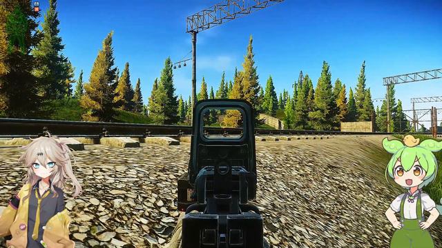 【EFT】タルコフ旅行記＃20 コスパ武器筆頭なのに最強武器の候補にも名前が挙がるやべーやつ MP7 FMJ SX【ずんだもん】【春日部つむぎ】 смотреть онлайн