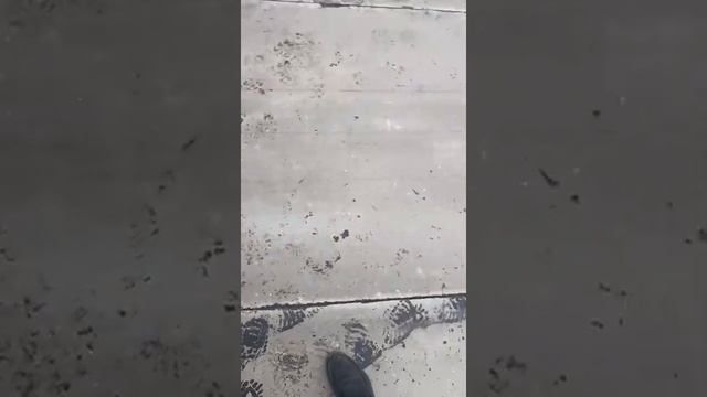 Плоская кровля из цсп смотреть онлайн