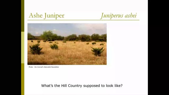 ANC Community Lecture - Texas Natives, Remarkable Natives and Invasives смотреть онлайн