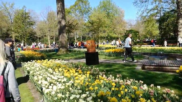 Голландия. Тюльпановый парк Кёкеноф (Кeukenhof). смотреть онлайн