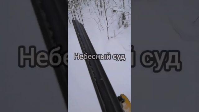 Проснись R 1 A! Время вернуться к ВЕщемуЛЕСУ (Велесу) и слушать, что он нам рекует... смотреть онлайн