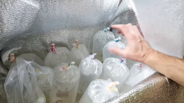 Посылка с Харькова! Большие неприятности с Таракатумом смотреть онлайн