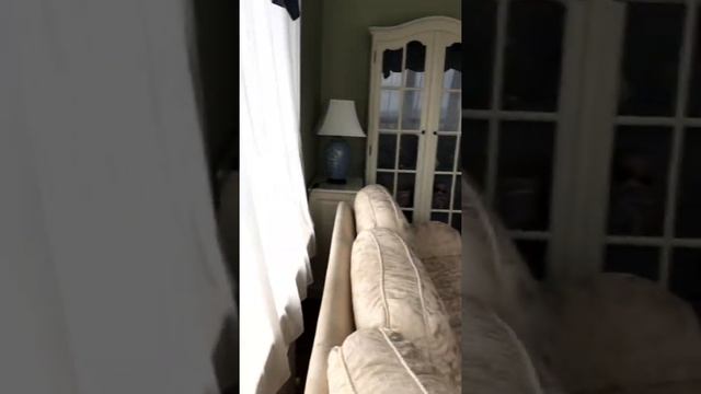 ЖК Измайловский. Аренда 3-ком. квартиры 102 кв.м. на 25 этаже за 114 000 руб/мес. смотреть онлайн