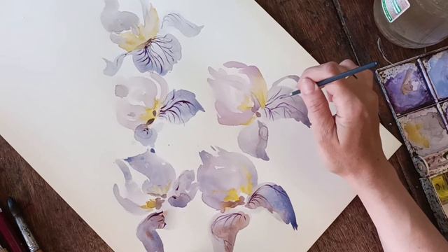 акварель рисования творчество живопись цветы ирисы. смотреть онлайн
