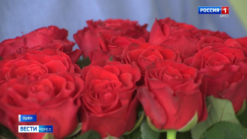 Орловские педагоги Ирина Самойлова и Ирина Морозова стали лучшими учителями России смотреть онлайн