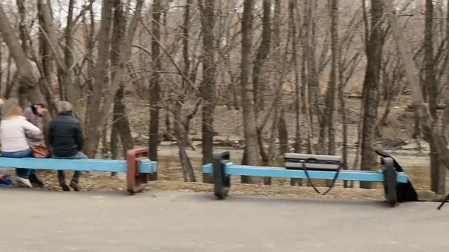 Группа Дубовая роща, песня Это идёт Иосиф Кобзон смотреть онлайн