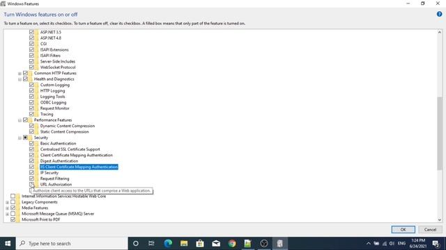HOW TO INSTALL IIS IN WINDOWS 10 || how to install iis in local machine || windows server #Windows1 смотреть онлайн