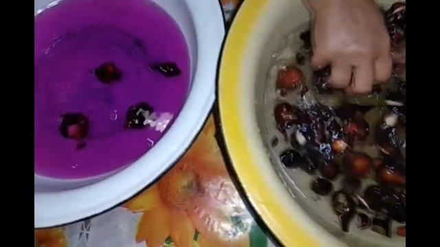 пересадка тюльпанов осенью на другое место смотреть онлайн