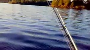 ЧЕТЫРЕХТАКТНЫЙ ЛОДОЧНЫЙ МОТОР SUZUKI 2.5 Л.С. - DF 2.5S