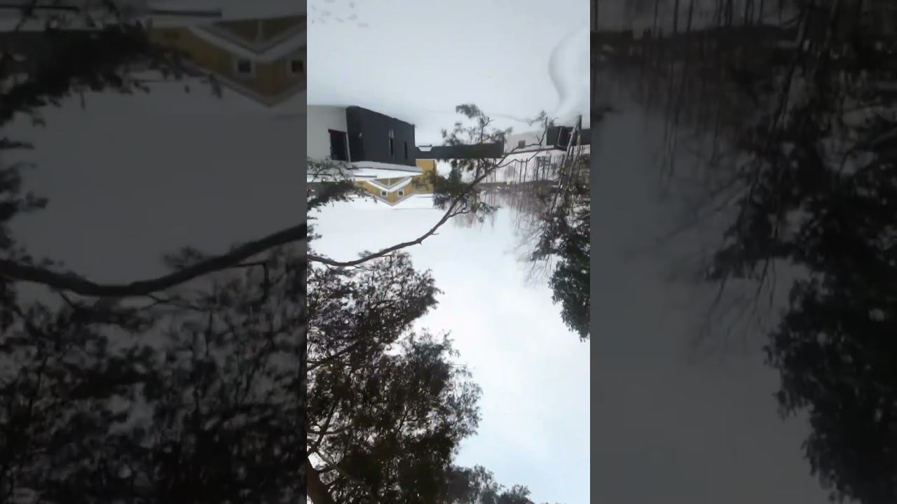 Быдымщ смотреть онлайн