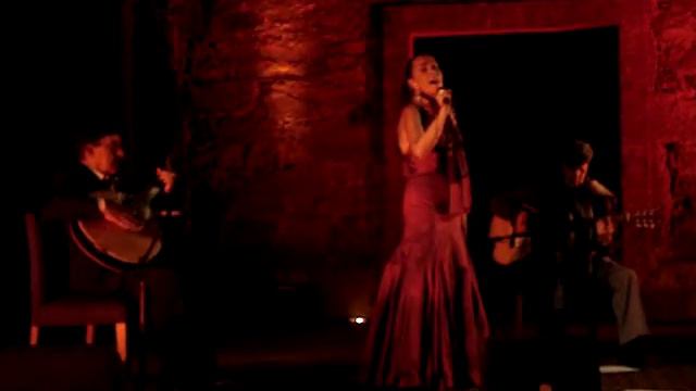 Tereza Salgueiro - Senhora do Almortão смотреть онлайн