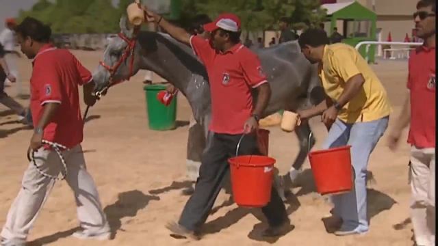 Конные пробеги - Endurance Presentation in Russian смотреть онлайн