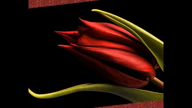 Dress "The Scarlet Flower" - Irish crochet lace. Платье "Аленький цветочек" - ирландское кружево. смотреть онлайн