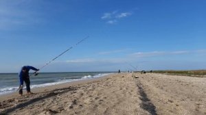 Ловля пеленгаса в мае на косе Обиточной