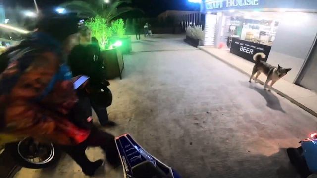 Стант по Адлеру на 2 Кроссачах.. На заднем без рук…. смотреть онлайн