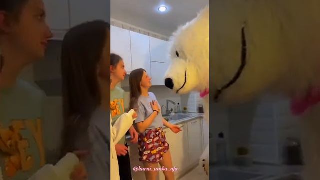 Сюрприз от друзей в 00.00. Поздравляем Елизавету с 14-ти летием #белыймишкаумкауфа смотреть онлайн