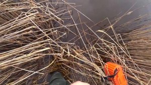 Ловлю Азовскую тарань на нересте. Каждую весну на Кубани происходит это!!!!