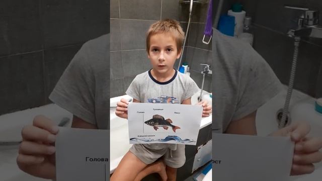 Рыбы. 2 класс смотреть онлайн