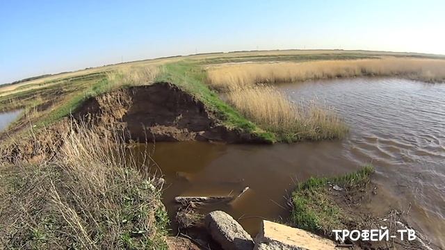 Рыбаки-Профи