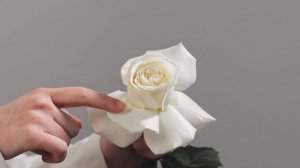 КАК ВЫВОРАЧИВАТЬ РОЗЫ | МАСТЕР-КЛАСС LBA