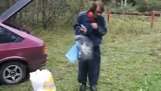 Гоголь набрал грибов! смотреть онлайн