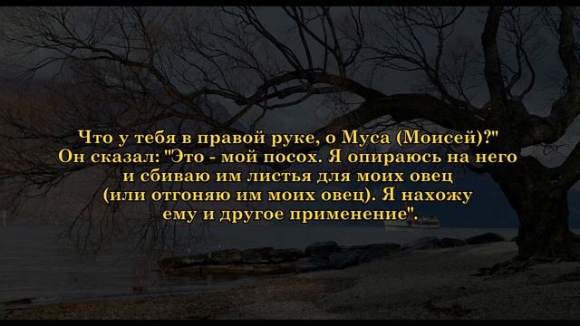 Сиратулло Раупов | Сура «Та-Ха» (6-37) смотреть онлайн