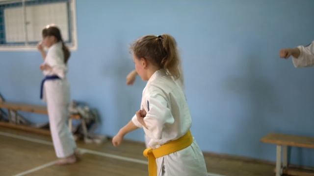 Федерация Кёкусинкай Мурманской обл. / Сборы по ката / 10.04.22 смотреть онлайн