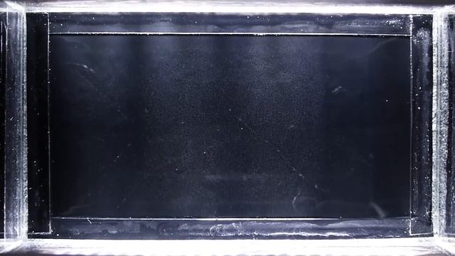 Камера Вильсона с объяснением смотреть онлайн